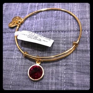 NWT Alex and Ani January Garnet Bracelet